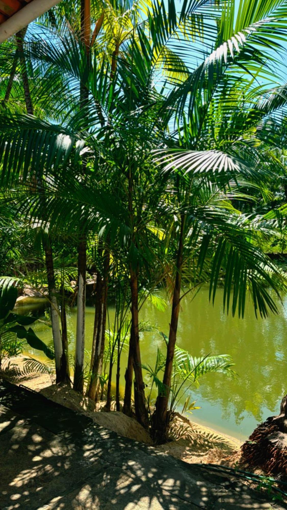 Pousada Beira Rio Barrerinhas Hotel Barreirinhas Buitenkant foto
