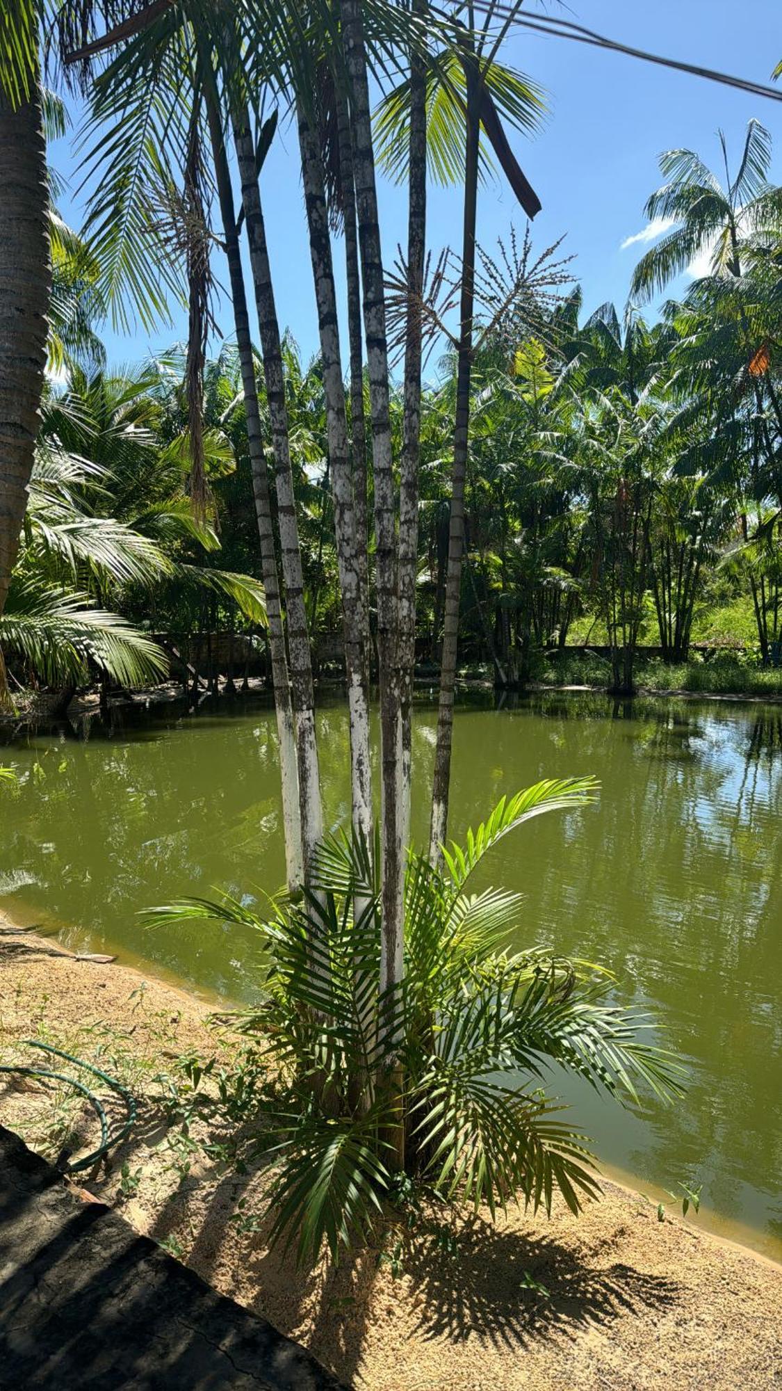 Pousada Beira Rio Barrerinhas Hotel Barreirinhas Buitenkant foto